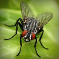 /album/agrocigner/photolia-a01-jpg/