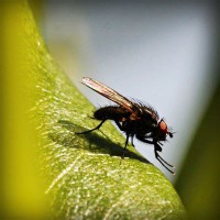 /album/agrocigner/photolia-a04-jpg/