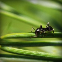 /album/agrocigner/photolia-a05-jpg/