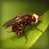 /album/agrocigner/photolia-a06-jpg/