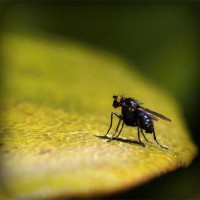 /album/agrocigner/photolia-a07-jpg/